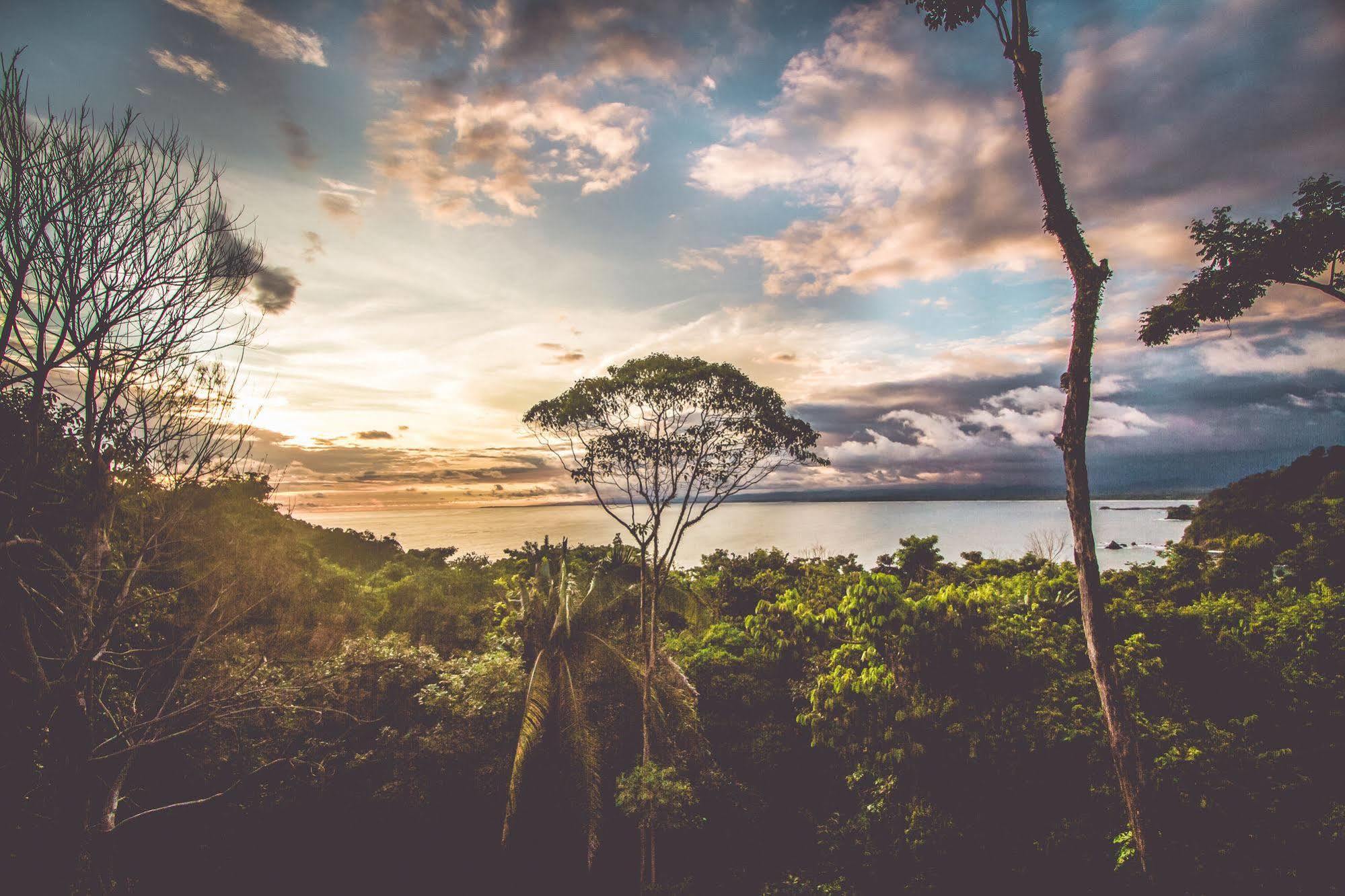 Issimo Suites Boutique Hotel & Spa - Adults Only Manuel Antonio Exterior foto
